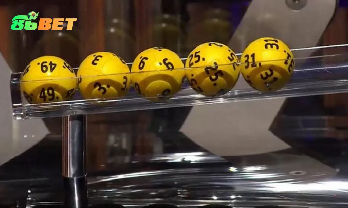 Soi Cau Mien Trung 4