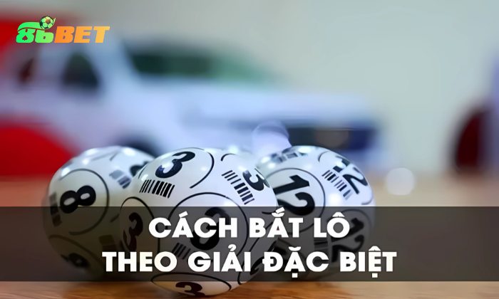 Soi Cau Mien Bac 3