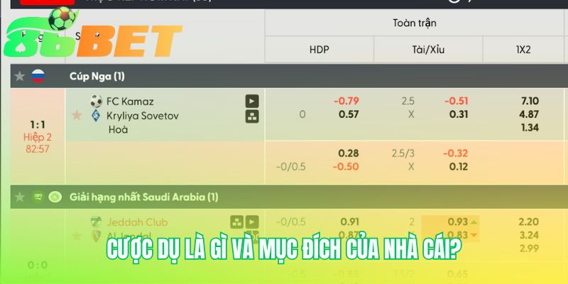 Cuoc Du La Gi Va Muc Dich Cua Nha Cai