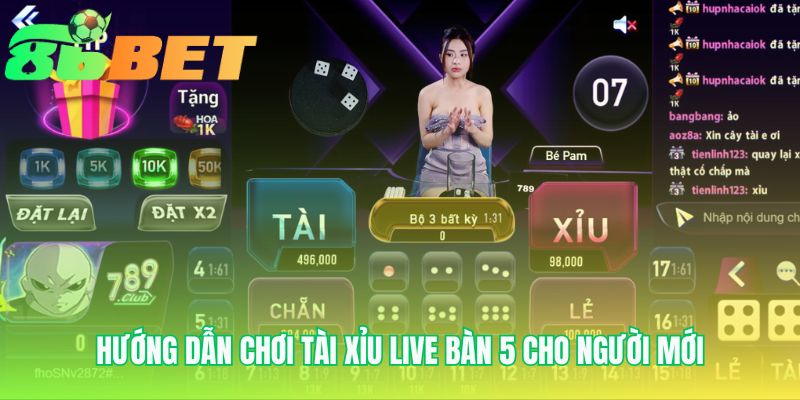 Huong Dan Choi Tai Xiu Live Ban 5 Cho Nguoi Moi