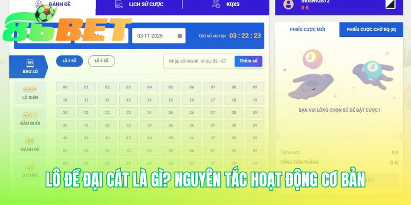 Lo De Dai Cat La Gi Nguyen Tac Hoat Dong Co Ban