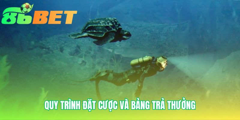 Quy Trinh Dat Cuoc Va Bang Tra Thuong