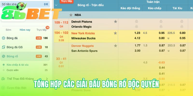 Tong Hop Cac Giai Dau Bong Ro Doc Quyen